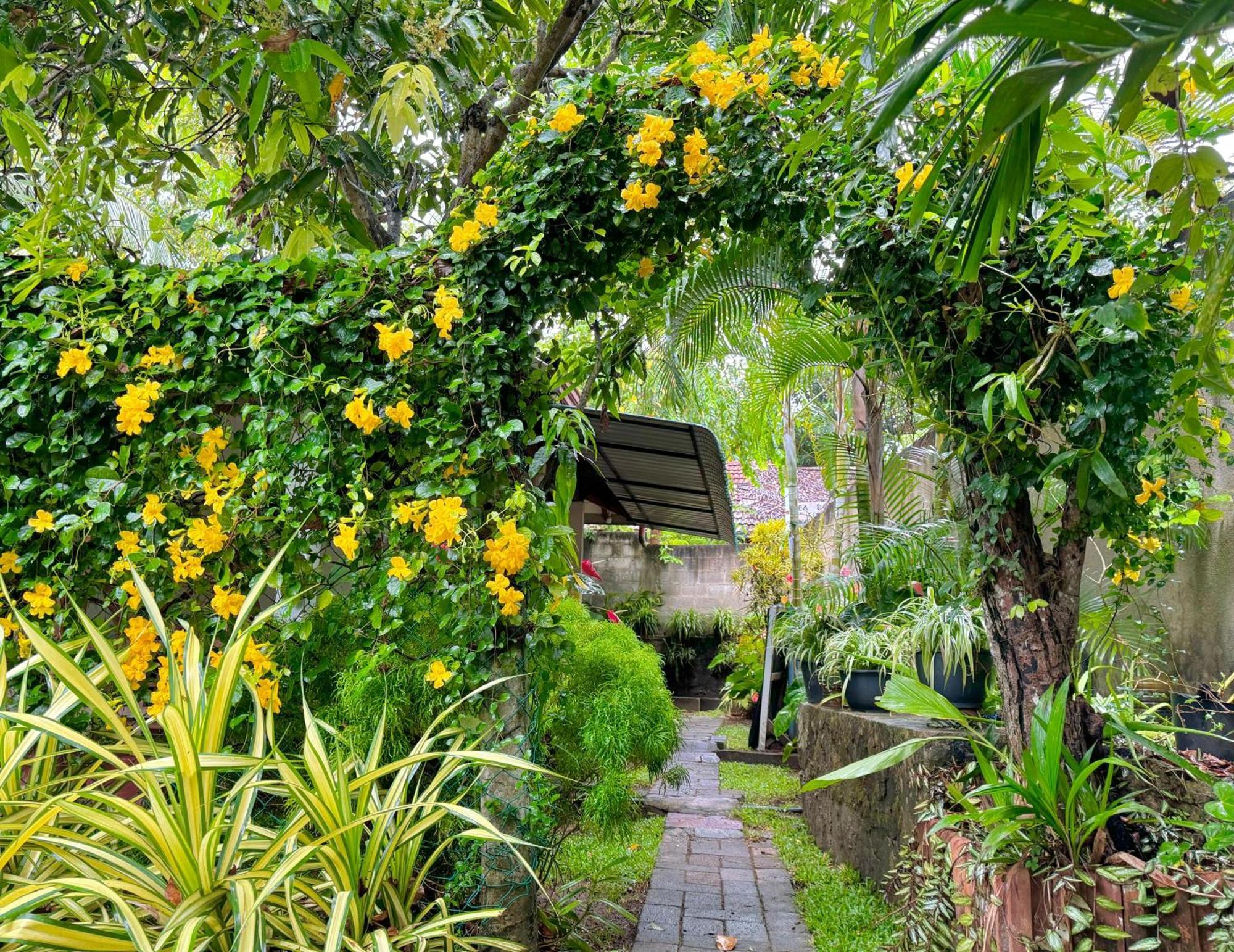 Nethmi Homestay & Restaurant Tangalle Exterior photo