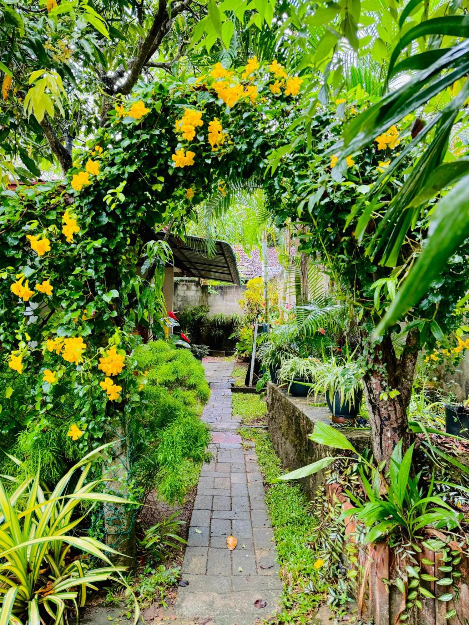 Nethmi Homestay & Restaurant Tangalle Exterior photo