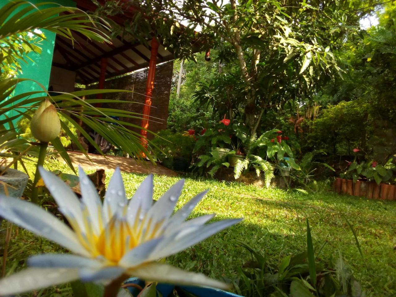 Nethmi Homestay & Restaurant Tangalle Exterior photo